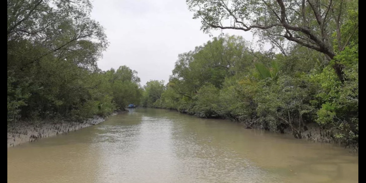 Forest Dept declares Sundarbans closed to visitors for 3 months