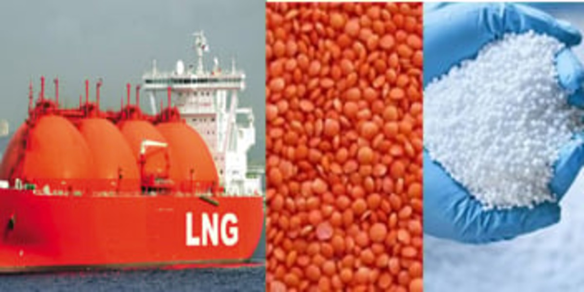 Govt to procure 1 cargo LNG, 1 lakh MTs fertilizer, 6,000 MTs lentil