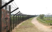 BSF kills Bangladeshi youth along Thakurgaon border: Police
